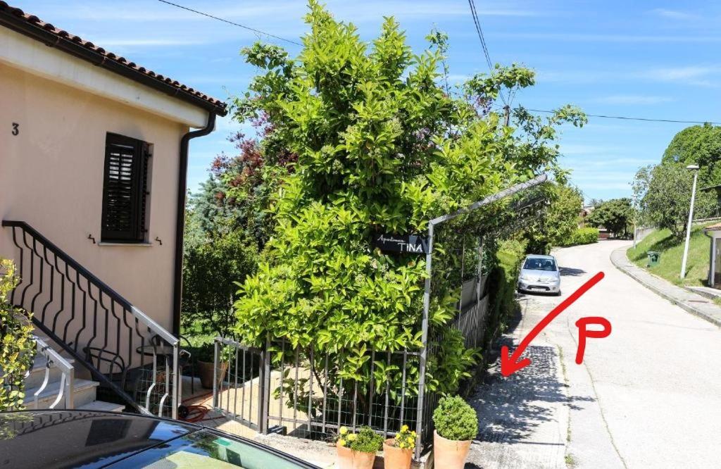Apartment Tina Istra Buje Exterior foto