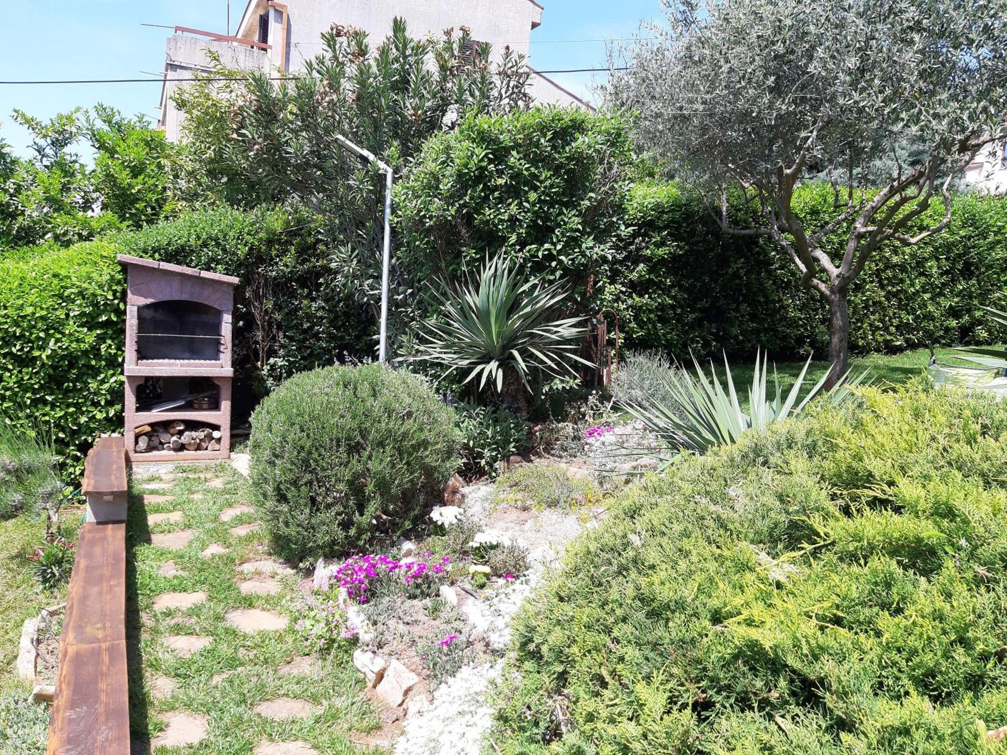 Apartment Tina Istra Buje Exterior foto